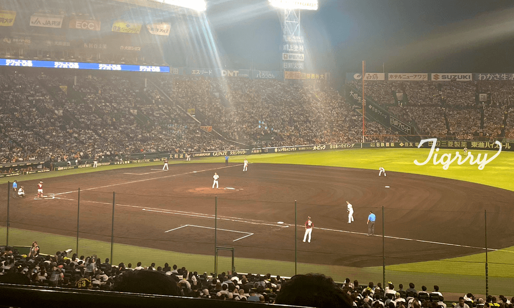 アイビーシート（1塁側内野席）上段からの視点