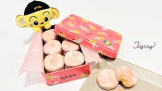 お土産にも最適！阪神タイガースコラボの限定クッキー缶「タイヨウノカンカンmini」