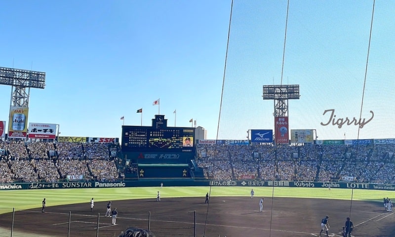 バックネット裏から見た甲子園球場