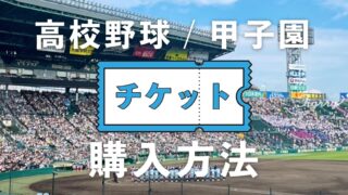 野球チケット 8/21 阪神 巨人 東京ドーム スカイシート ペアチケット 2枚