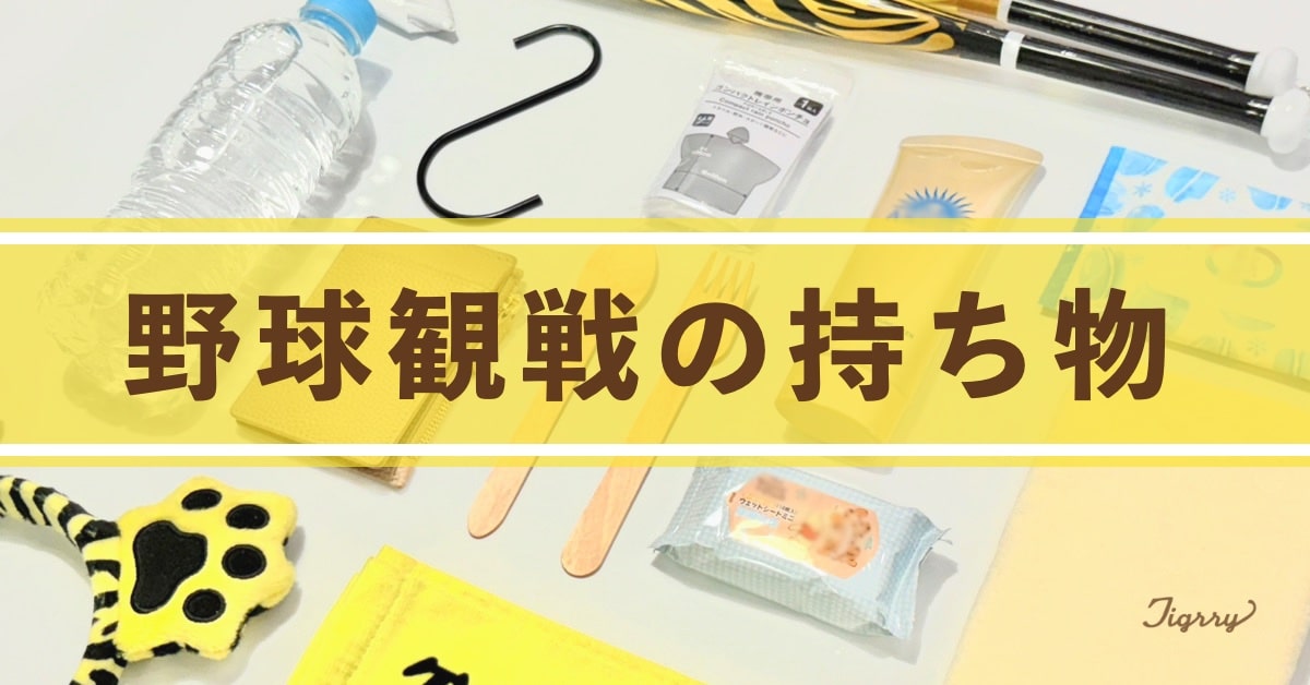 【初心者必見】野球観戦あると便利な持ち物リスト｜おすすめの服装も